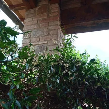 La Casa Di La Pieve 2 *