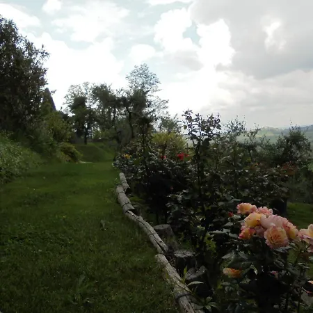 Tatil Evi La Casa Di La Pieve 2